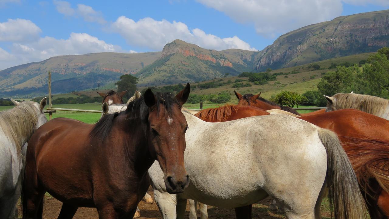 Verlorenkloof Dullstroom Zewnętrze zdjęcie